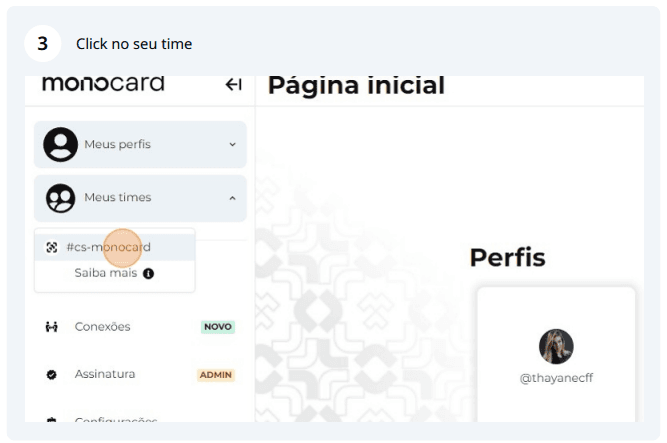 Captura de tela 2024-08-27 164229