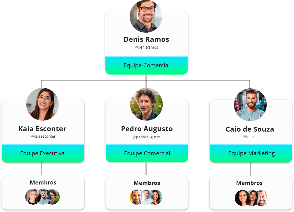 Sub-teams of a company